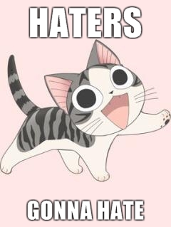 Haters Gonna Hate Meme Cat
