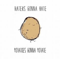 Haters Gonna Hate Quotes And Sayings