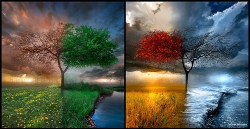 4 Seasons Art