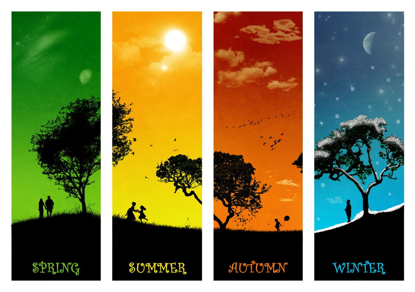 4 Seasons Wallpaper