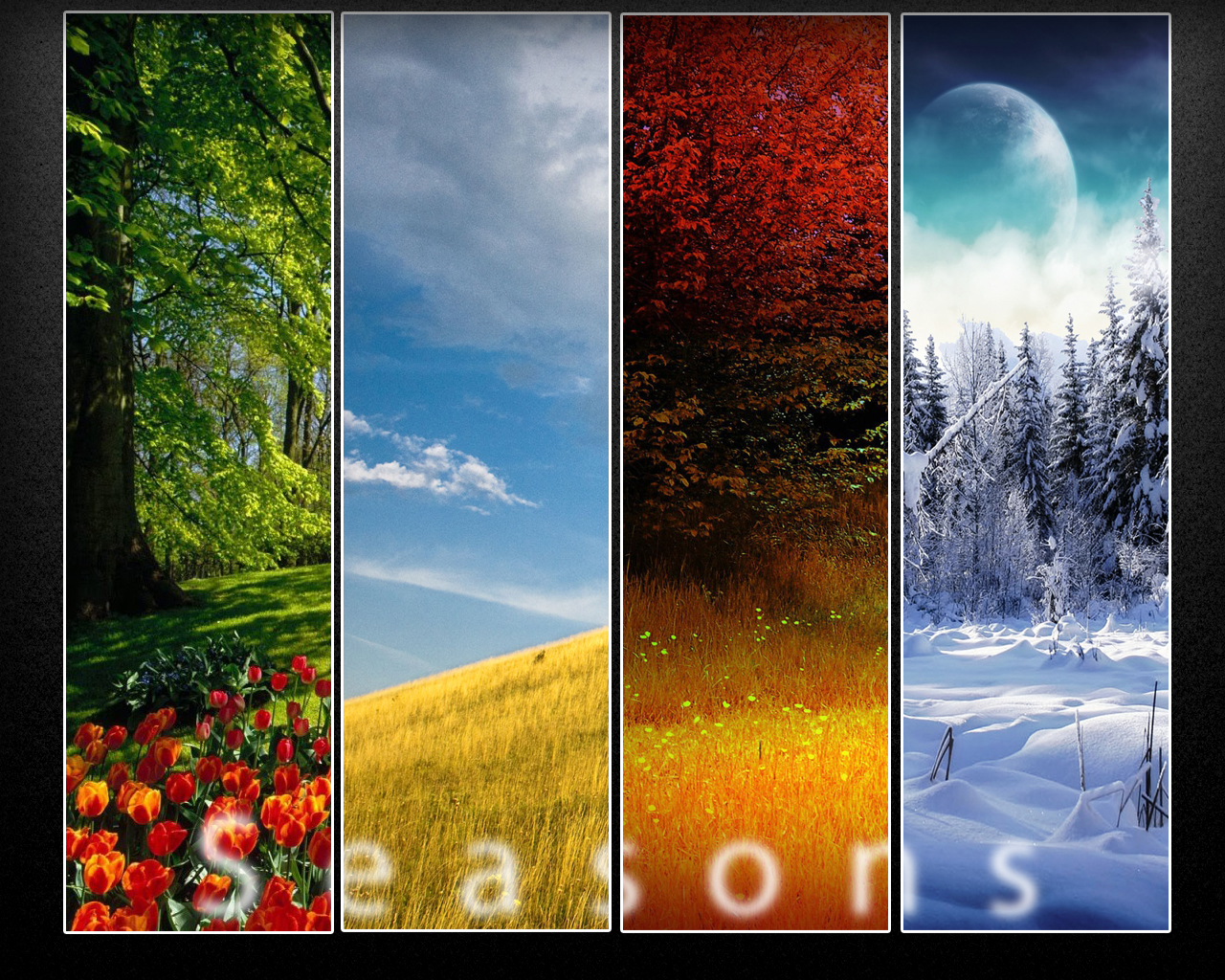 4 Seasons Wallpaper Hd