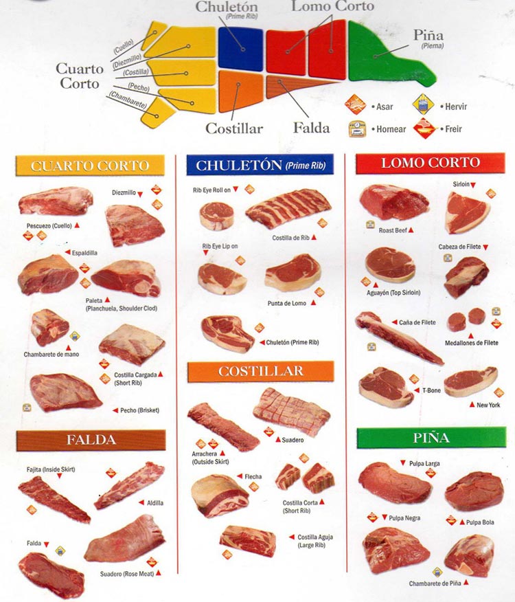 Beef Cuts Diagram