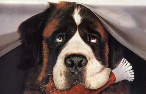Beethoven Movie Dog