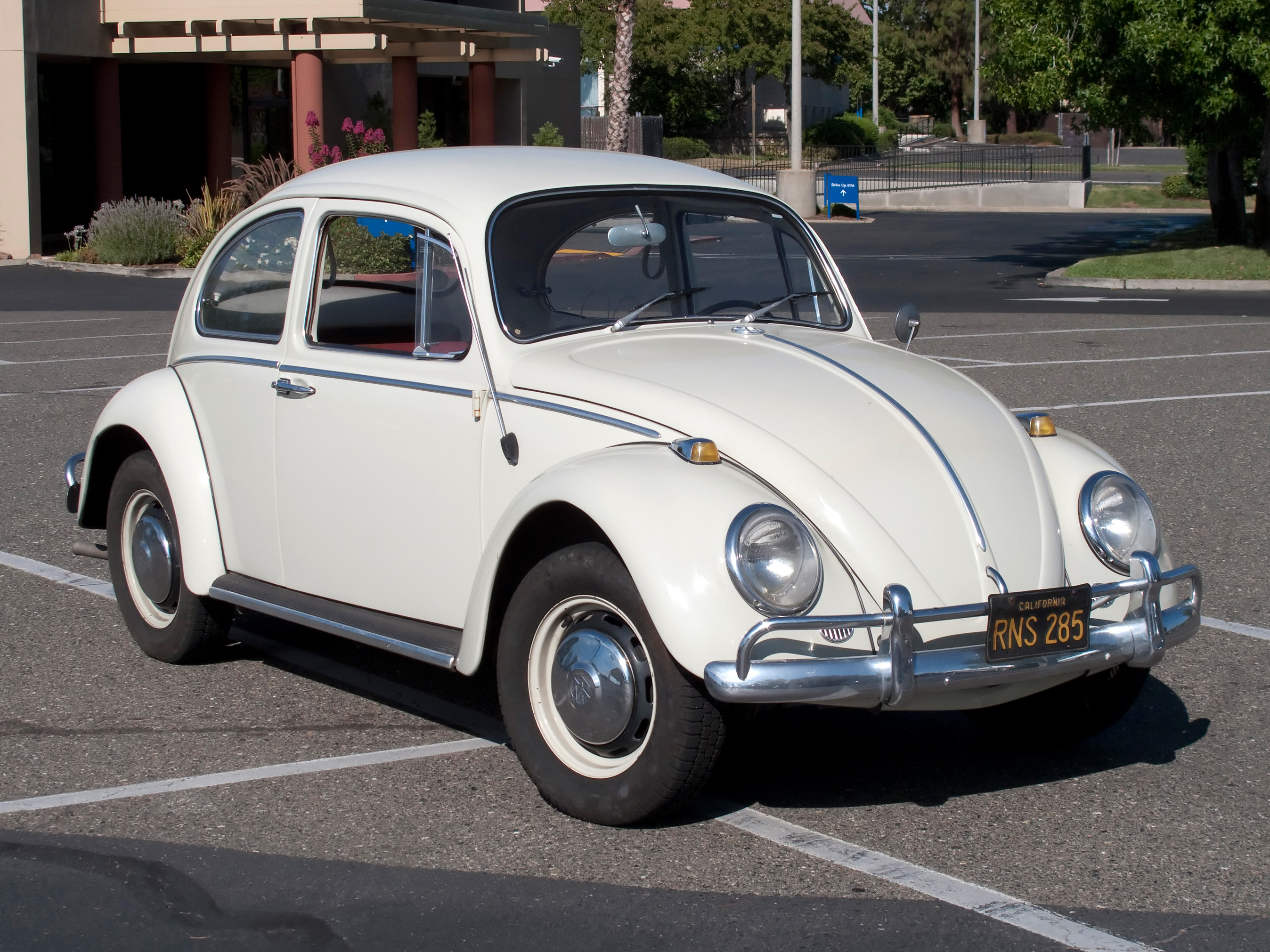 Beetle Bug Car 2013