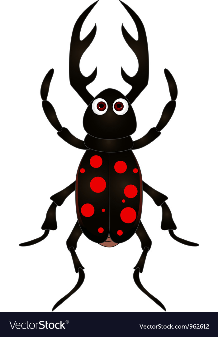 Beetle Cartoon Pictures