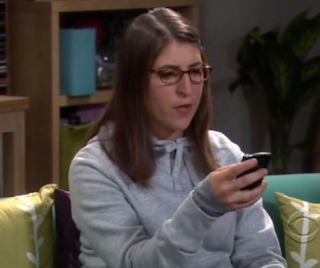Big Bang Theory Cast Bernadette