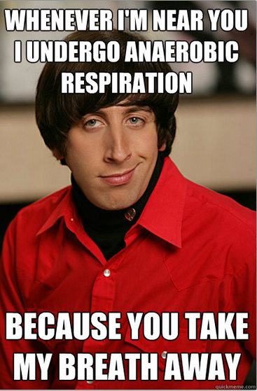 Big Bang Theory Memes Tumblr