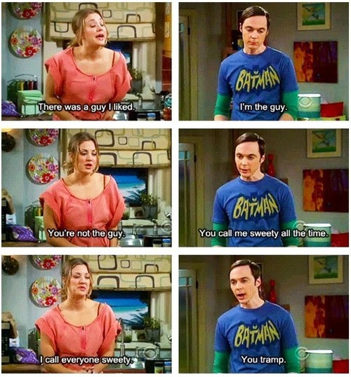 Big Bang Theory Quotes Funny