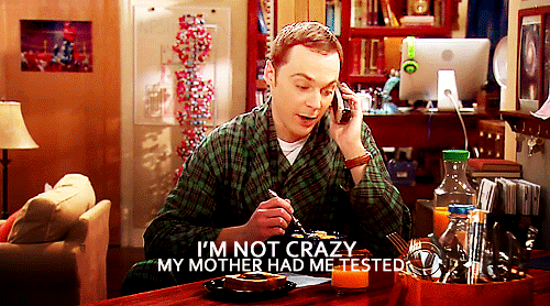Big Bang Theory Sheldon Cooper Mother