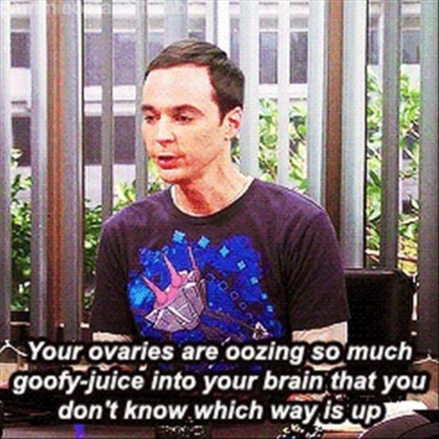 Big Bang Theory Sheldon Funny