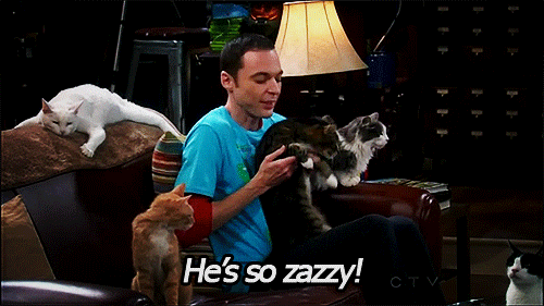 Big Bang Theory Sheldon Funny Face
