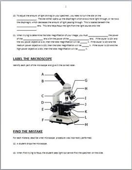 Compound Microscope Parts Worksheet