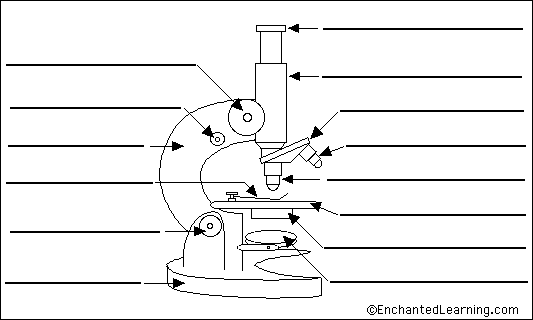 parts-of-dissecting-microscope