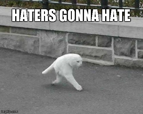 Haters Gon Hate Cat