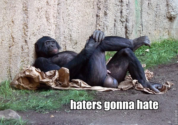 Haters Gonna Hate Quotes