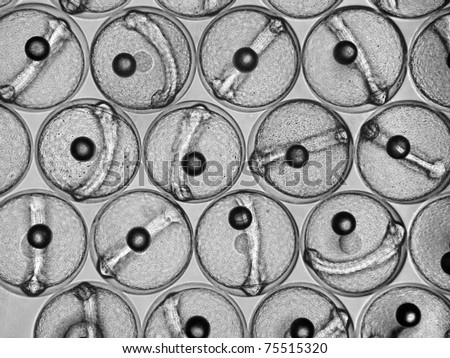 Light Microscope Clipart