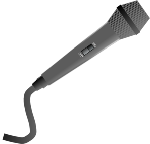 Microphone Vector Cord
