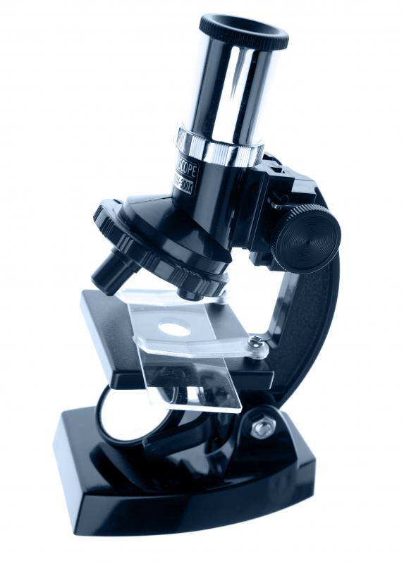 Microscope Parts And Their Functions Uses