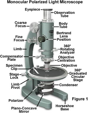 Microscope Parts And Their Functions Uses
