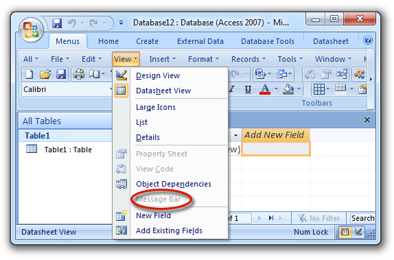 Microsoft Access 2007 Interface