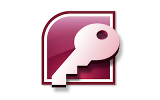 Microsoft Access 2007 Logo