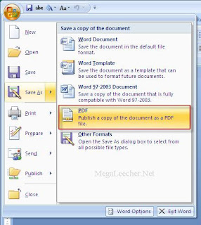 Microsoft Access 2007 Tutorial For Beginners Pdf