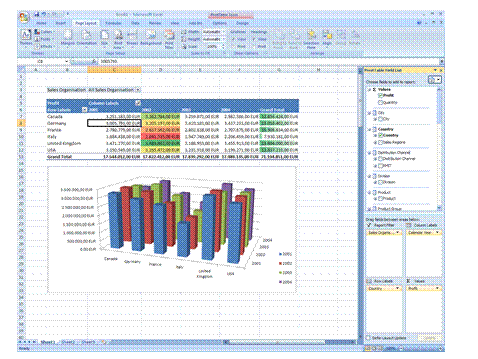 Microsoft Excel 2007 Pivot Table