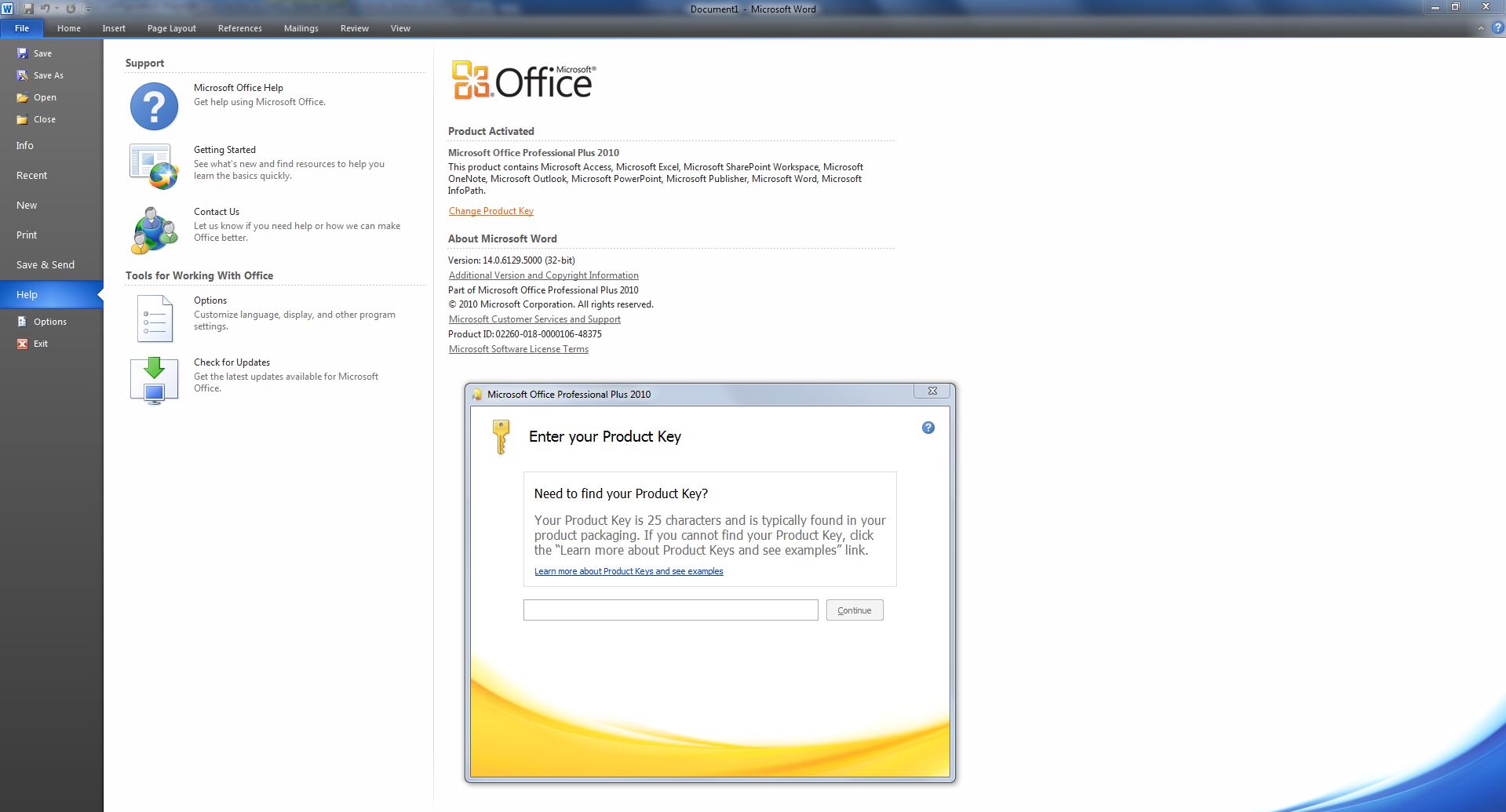 Microsoft Office 2010 Professional Plus Keys Free Product Key