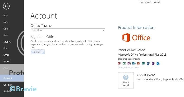 Microsoft Office 2013 Professional Plus Activator Download