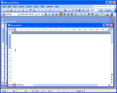 Microsoft Word 2003 Interface