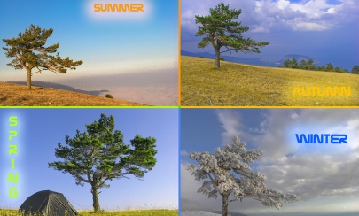 Seasons Of The Year Months Australia