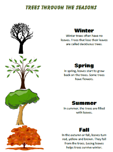 Seasons Of The Year Worksheet