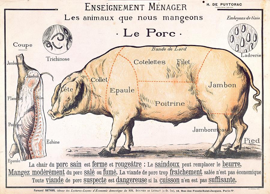 Vintage Beef Cuts Diagram